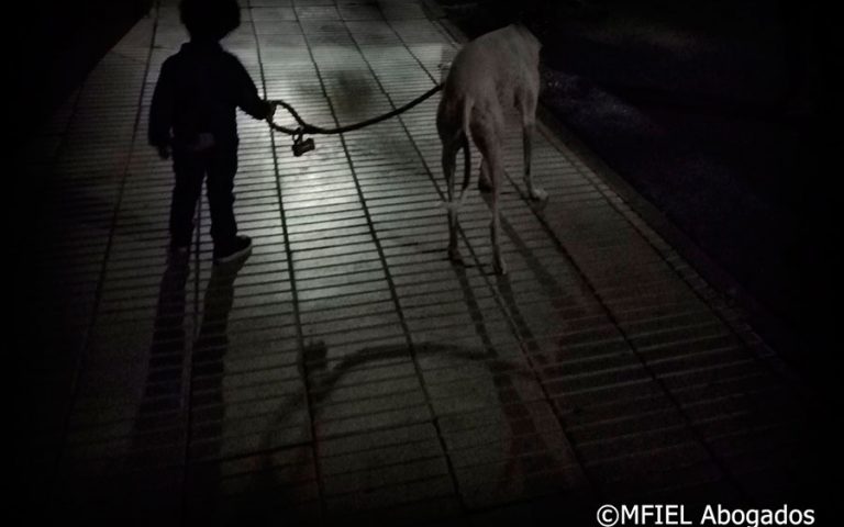 Régimen de visitas ante el actual estado de alarma #covid-19