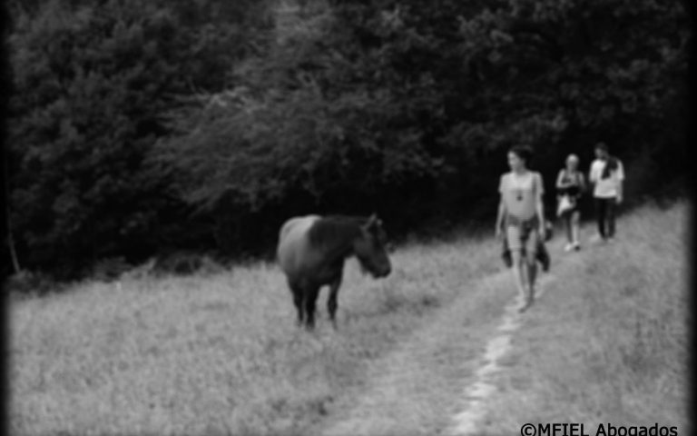 Y por fin llegó el día!!